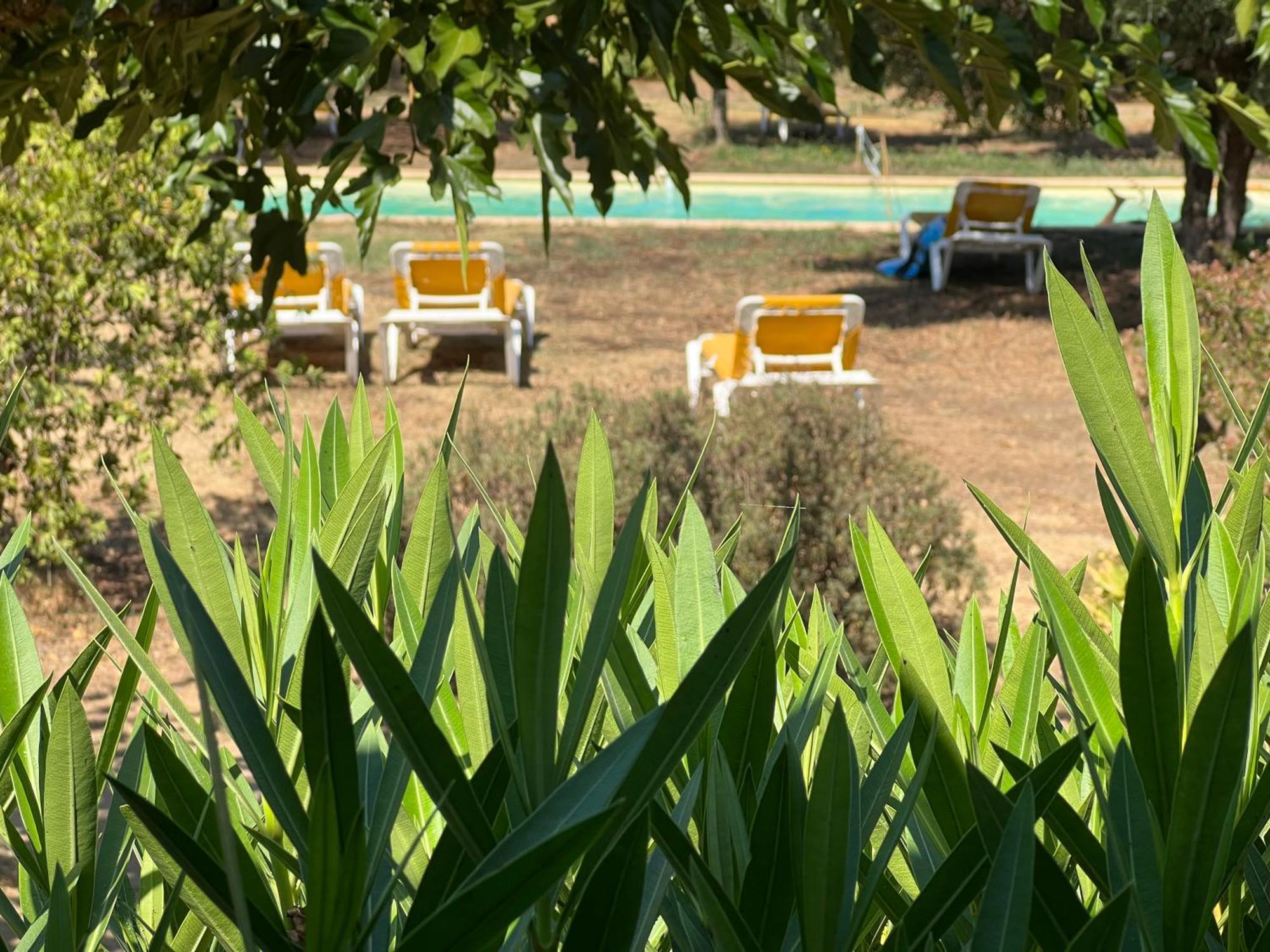gite au paradis, parc animalier Olmeta-di-Tuda Extérieur photo
